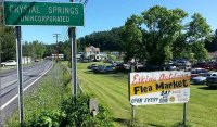 Elkins  Flea Market